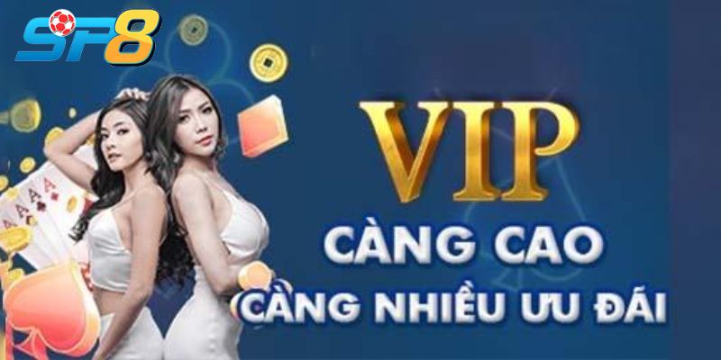 Những quyền lợi mà hội viên VIP SP8 không nên bỏ qua
